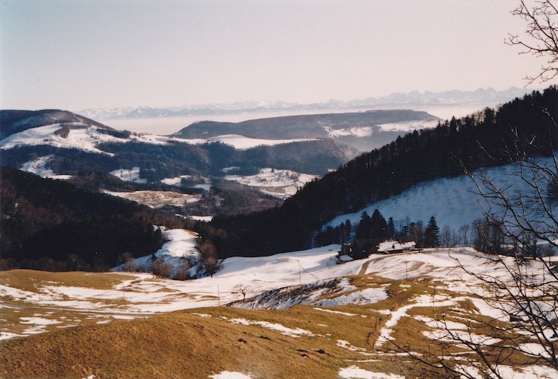 127 Herrliche Aussicht auf die Alpen.jpg